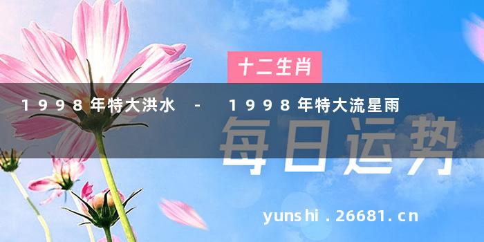 1998年特大洪水 - 1998年特大流星雨